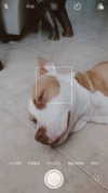_mashachka_ Altpins Profile Picture