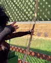 kieraplease Altpins Profile Picture