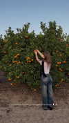 solzarubin_ Altpins Profile Picture