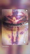 shirush.x_xd Altpins Profile Picture