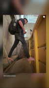 strawberryshanz Altpins Profile Picture