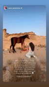 taylorcattanach Altpins Profile Picture