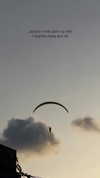 itsilanosh Altpins Profile Picture