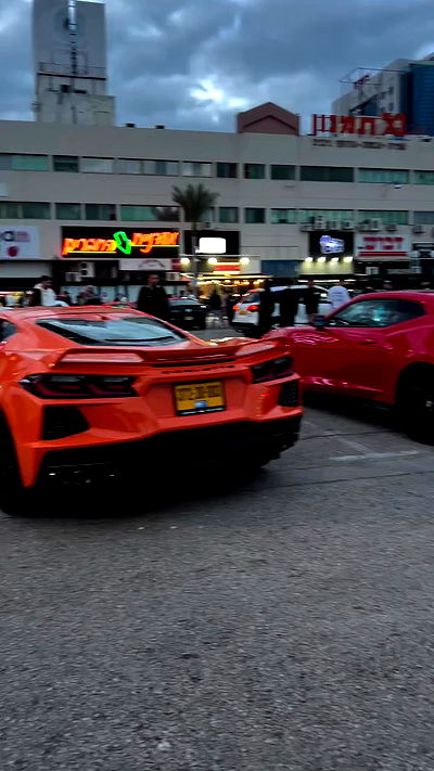 simp_for_cats_ simp_for_cats_ archive video