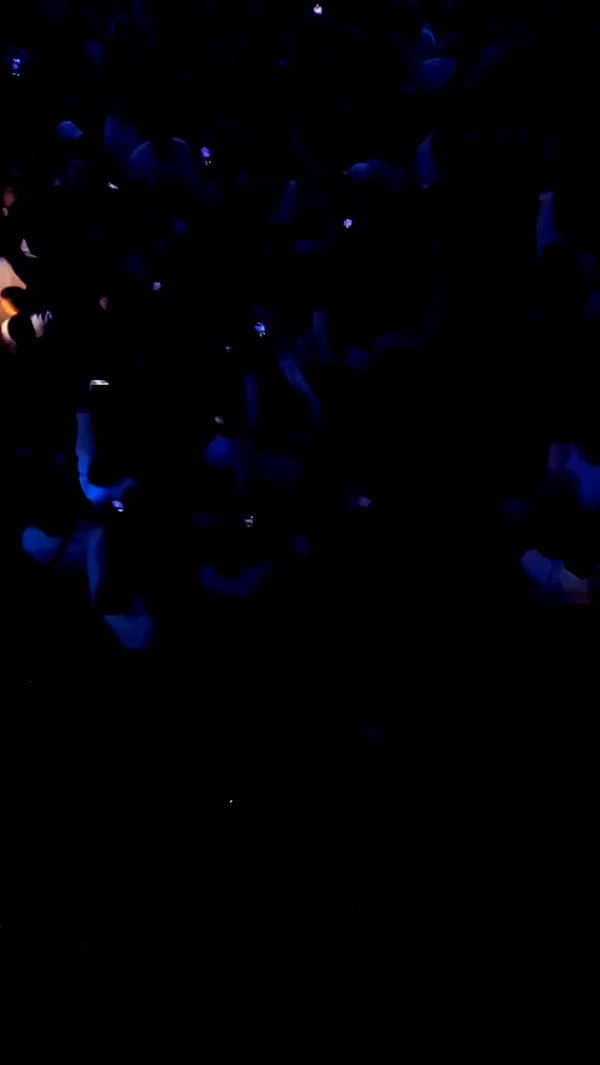 maori_cohen archive video preview