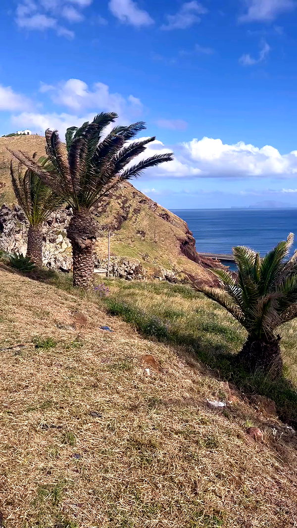 tamagotkri archive video preview