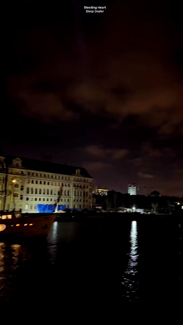 madamist_ archive video preview