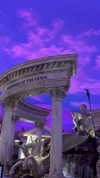 elsgatti Altpins Profile Picture