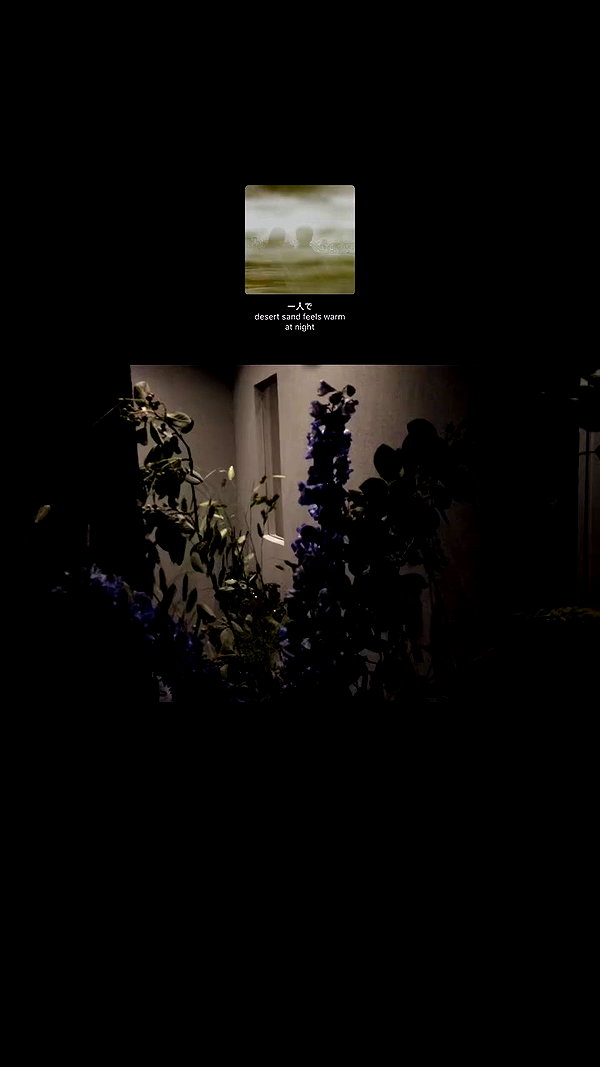 vvelum_ archive video preview
