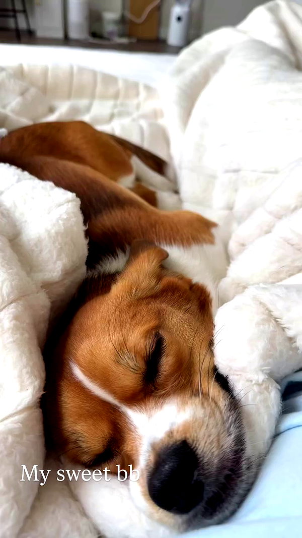 kyla.doddsss archive video preview