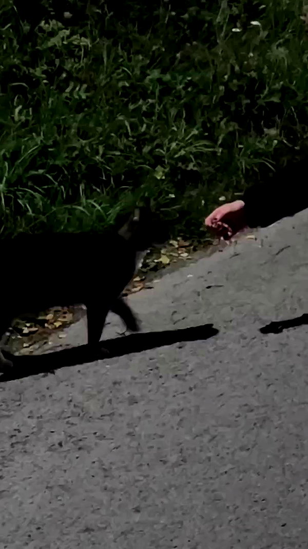 milkgore archive video preview