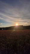 _.mali.nq_ Altpins Profile Picture