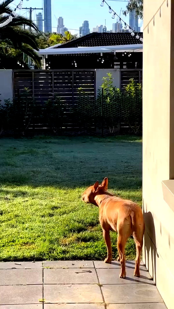 olivia.mathers archive video preview