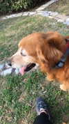 analuvillarreal Altpins Profile Picture