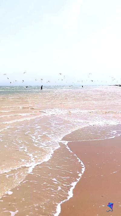 taylor.creeden taylor.creeden archive video