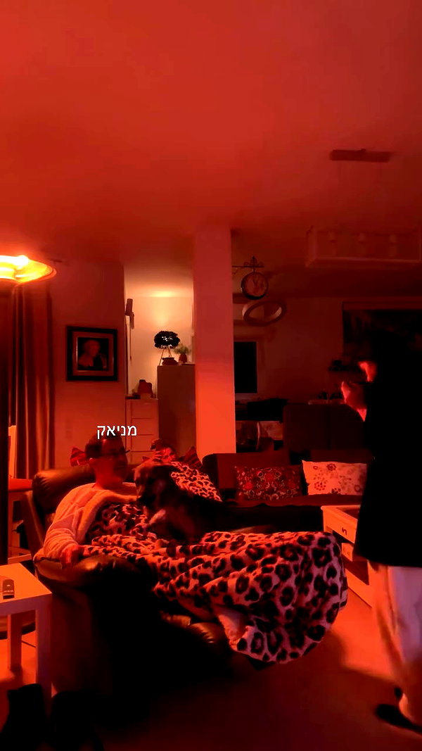 moonliliaght archive video preview