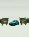 catl0verr69 Altpins Profile Picture