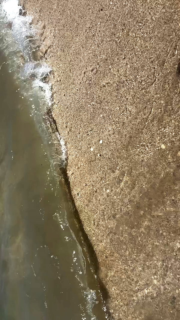 gissell_eli archive video preview