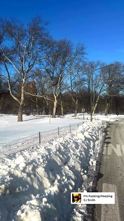 biton__adi biton__adi archive video