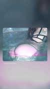 zommmbri Altpins Profile Picture