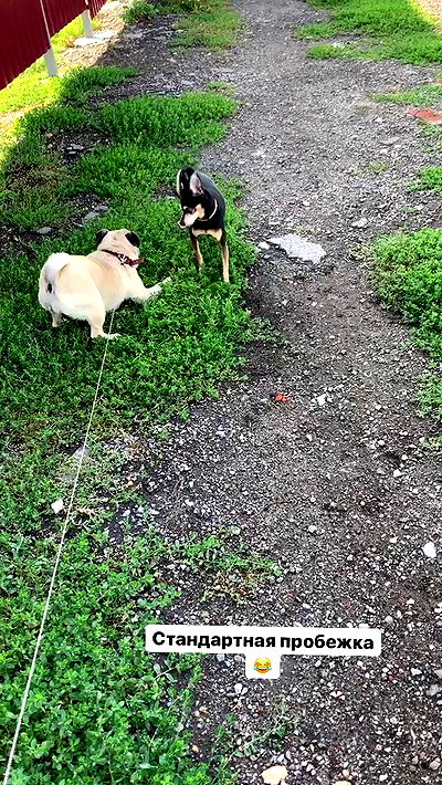 nyityam nyityam archive video