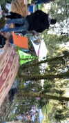 _lironatias Altpins Profile Picture
