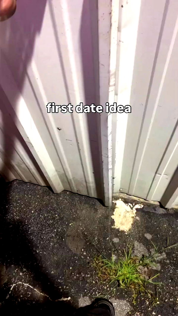 pixelpuppi archive video preview