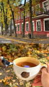miikheeva_stasiiya Altpins Profile Picture