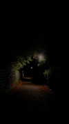 yoo.mon Altpins Profile Picture