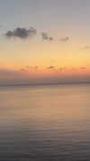 darkstar_mia Altpins Profile Picture
