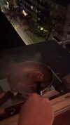 ptpchik Altpins Profile Picture