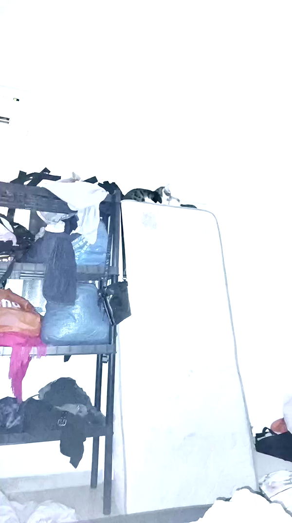 moonyyyya archive video preview