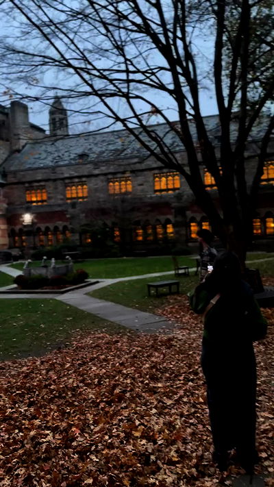 biton__adi biton__adi archive video