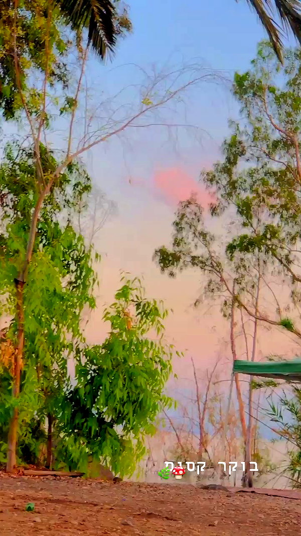 yaarat11 archive video preview