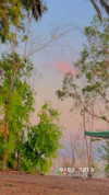 yaarat11 Altpins Profile Picture