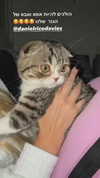 sonia_litvanchuk Altpins Profile Picture