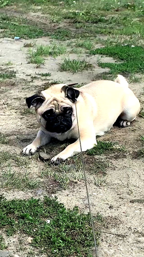 nyityam archive video preview