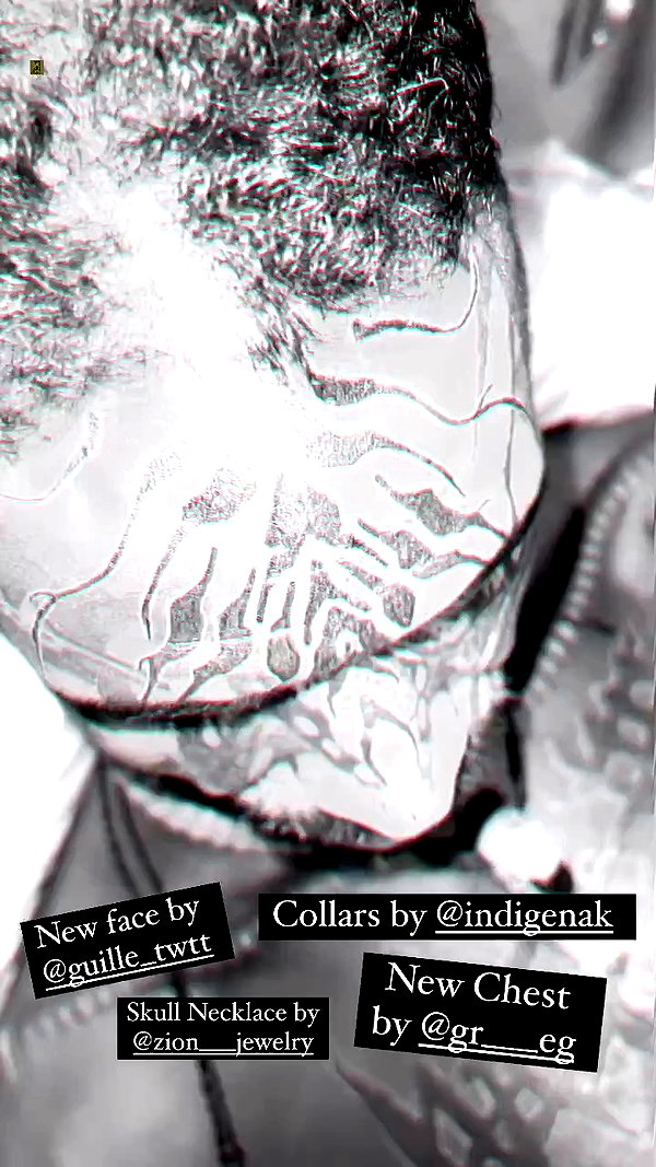 venecatattoo archive video preview