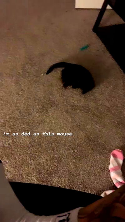 suikomuu suikomuu archive video