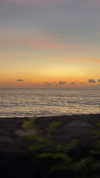 darkstar_mia Altpins Profile Picture