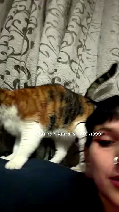 strawberryshanz strawberryshanz archive video