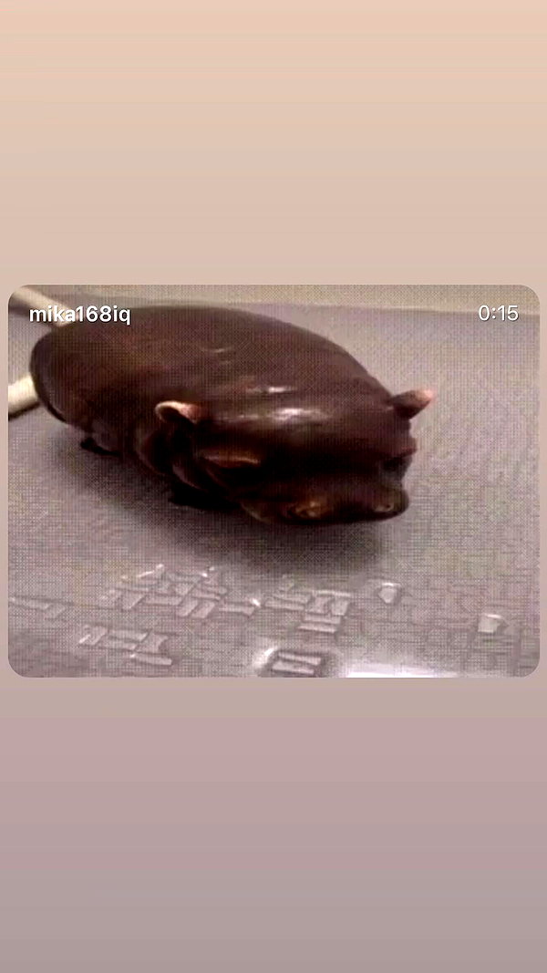 babynympho_archive archive video preview