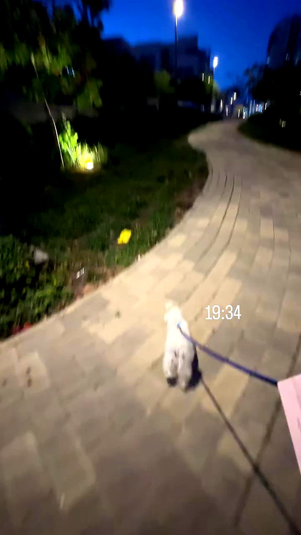 yuli.barell archive video preview