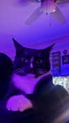 6nattynat9 Altpins Profile Picture