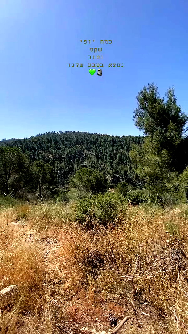 shaharo__._ archive video preview