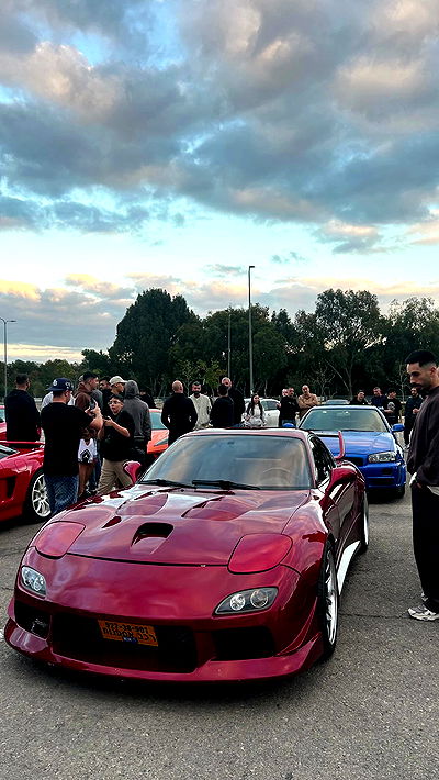 simp_for_cats_ simp_for_cats_ archive video