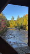karin_orhov Altpins Profile Picture