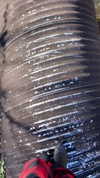 elizabethcampbelljones Altpins Profile Picture