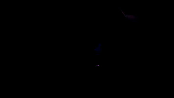 lilbieber archive video preview
