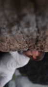 vikut.bezruk Altpins Profile Picture